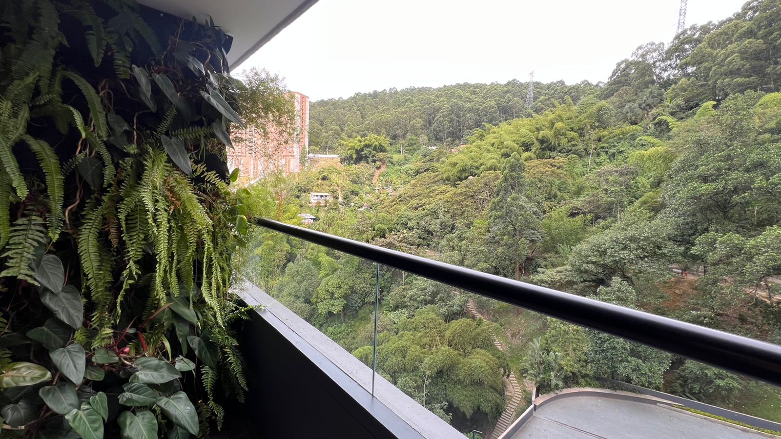 Apartamentos de 1 Hab